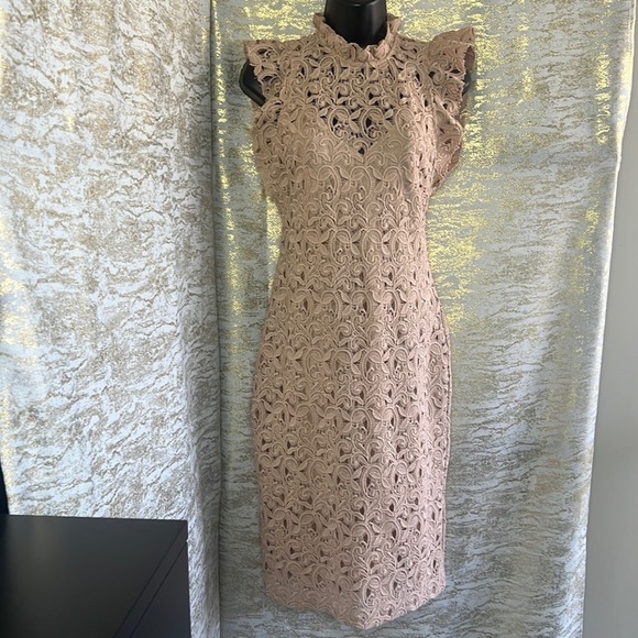 Zara Women’s Blush Pink Guipure Lace Knee Length Dress Size S - Picture 6 of 17